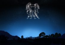Ascendent Gemeni