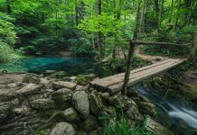 Cheile Nerei: Descopera canionul spectaculos al raului Nera