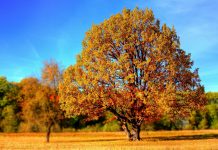 Semnificatia spirituala a echinoctiului de toamna