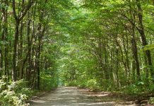 Excursii de o zi din Bucuresti: Destinatii uimitoare la o scurta distanta de oras