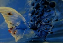 Ce inseamna cand ai fluturi in stomac