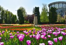 Gradina Botanica Iasi: Descopera fascinanta lume a plantelor