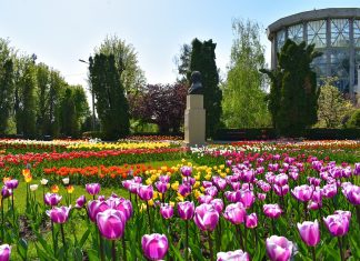 Gradina Botanica Iasi: Descopera fascinanta lume a plantelor