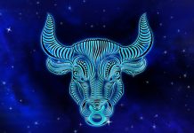 Horoscop dragoste Taur