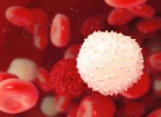 Leucocite in urina