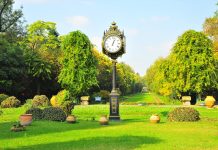 Parcuri si gradini din Bucuresti: Locuri de relaxare si frumusete naturala in mijlocul orasului