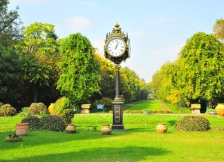 Parcuri si gradini din Bucuresti: Locuri de relaxare si frumusete naturala in mijlocul orasului