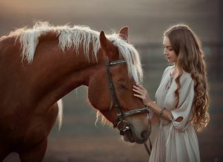 Sampon de cal beneficii