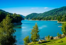 Valea Doftanei – Un weekend in Valea Doftanei: O experienta memorabila in mijlocul naturii